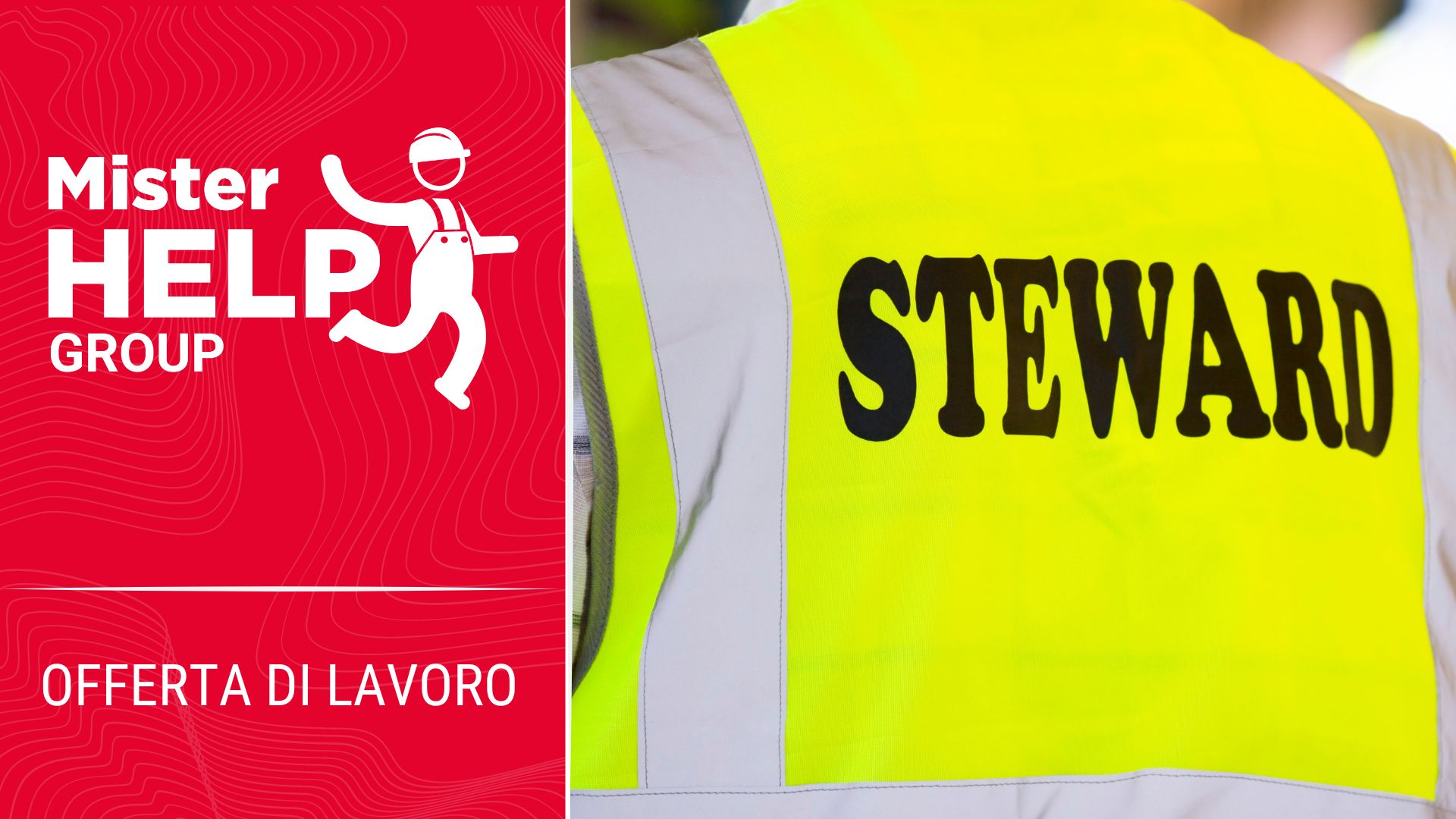 Opportunità di lavoro | Steward - Mister help